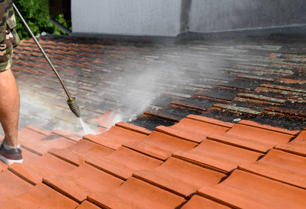 Best Commercial Pressure Washing  in Du Quoin, IL