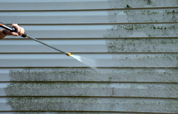 Best House Pressure Washing  in Du Quoin, IL
