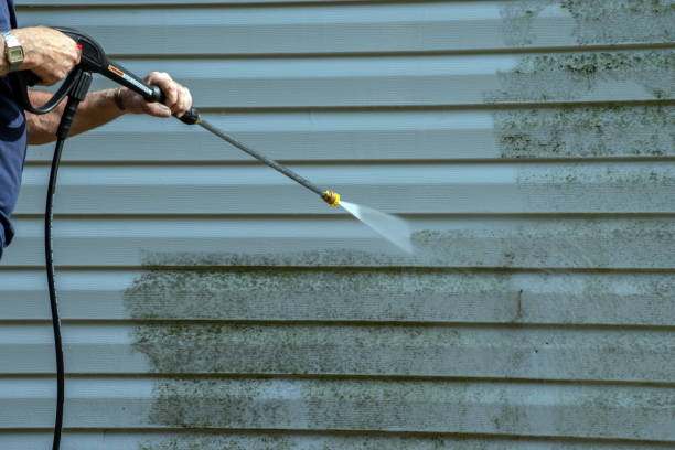 Best Residential Pressure Washing Services  in Du Quoin, IL