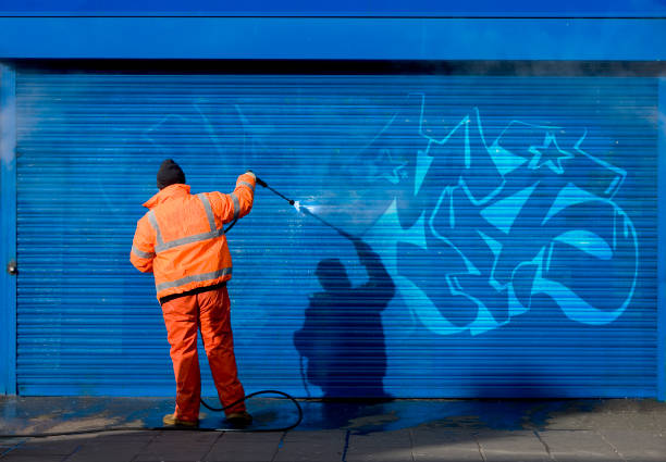 Best Best Pressure Washing Companies  in Du Quoin, IL