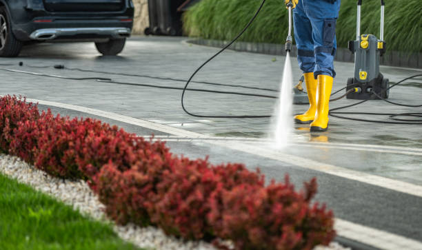 Best Pressure Washing Near Me  in Du Quoin, IL