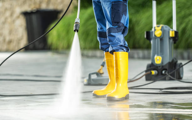 Best Roof Power Washing Services  in Du Quoin, IL