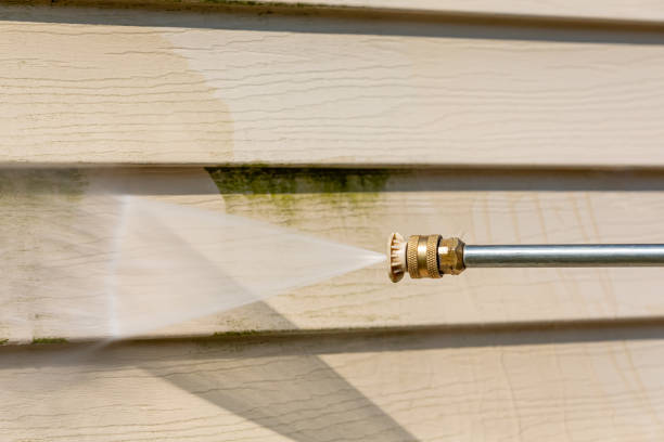 Best Roof Pressure Washing  in Du Quoin, IL