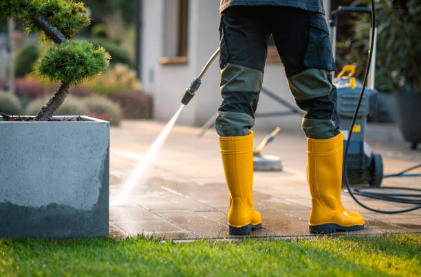 Best Local Pressure Washing Services  in Du Quoin, IL